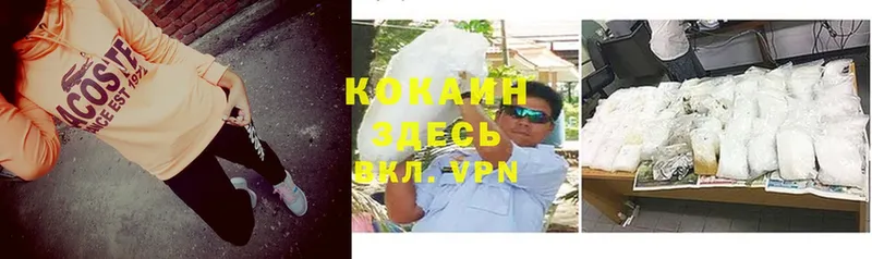 где найти   Красный Кут  COCAIN Эквадор 